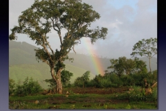 Burundi.186