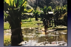 Madagascar.023