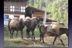 Bhutan.139