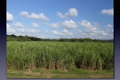 Honduras.031