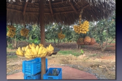Cuba.063