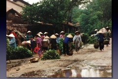 Vietnam.071
