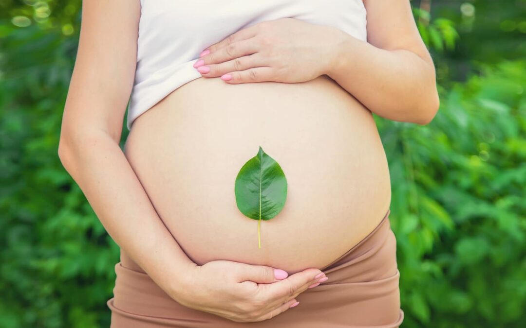 Pregnant belly with a leaf. Selective focus.